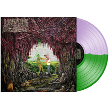 Load image into Gallery viewer, Undeath "Lesions of A Different Kind" 12"