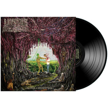 Load image into Gallery viewer, Undeath "Lesions of A Different Kind" 12"