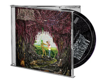 Load image into Gallery viewer, Undeath "Lesions of A Different Kind" CD
