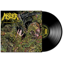 Load image into Gallery viewer, Molder "Engrossed In Decay" 12"
