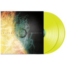 Load image into Gallery viewer, Animals as Leaders "Animals As Leaders" 2x12"
